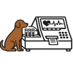 Veterinární imunologie